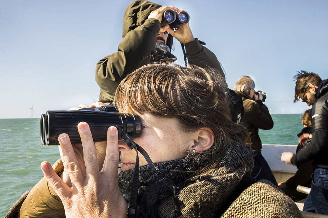 Excursie naar windmolenpark op de Noordzee, 31-03-2019