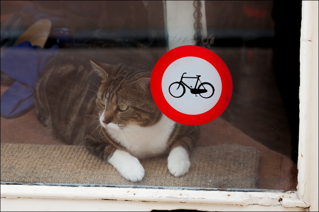 Negen Straatjes, 22-06-2012